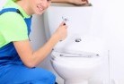 Pages Creektoilet-replacement-plumbers-2.jpg; ?>